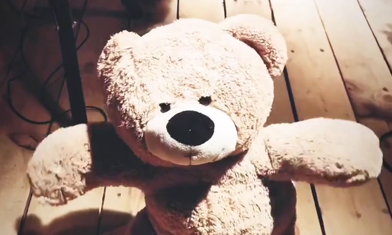 TEDDY project